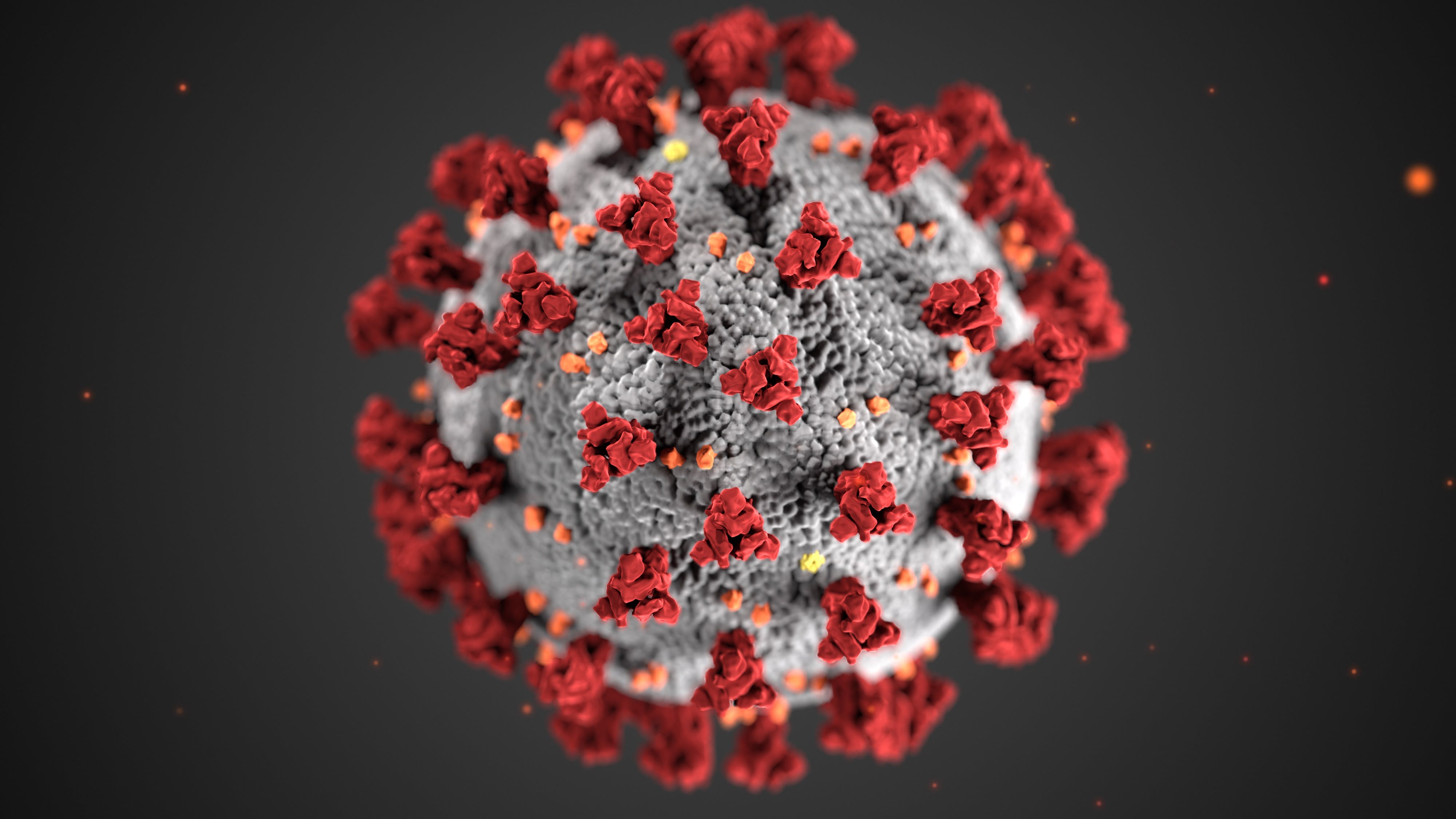 A COVID-19 virus.